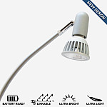 CL-700 Primary Light (Silver)